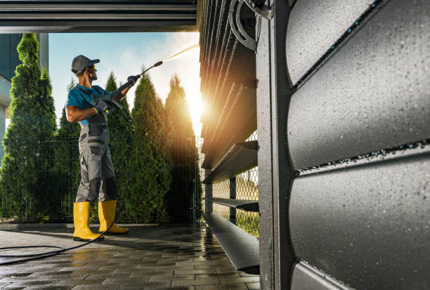 Best Roof Cleaning and Mildew Removal in USA